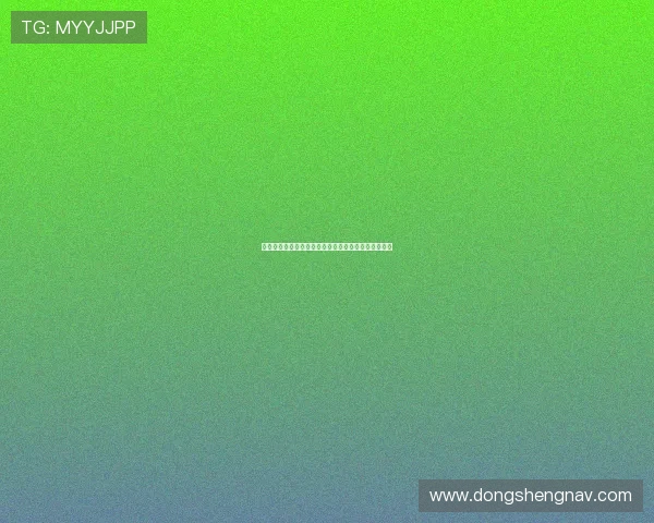 世界杯捷克南非对阵战绩全景解析及双方表现亮点总结